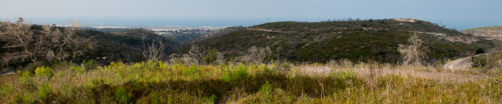 Perceptions of the natural environment,